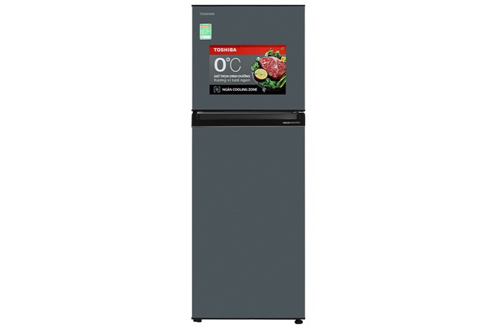 Tủ Lạnh Toshiba Inverter 233 Lít GR-RT303WE-PMV(52)
